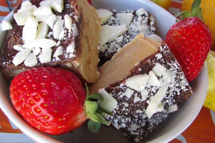 Double Chocolate Lemon Fudge (1)
