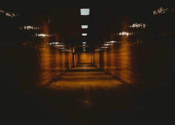Photo by Andy Li on Unsplash