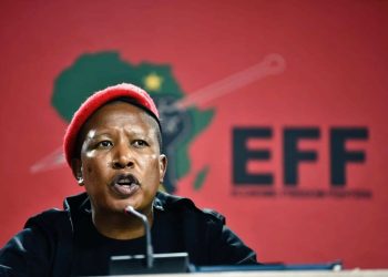 EFF says they wanted to "save" SA from the ANC by backing the DA