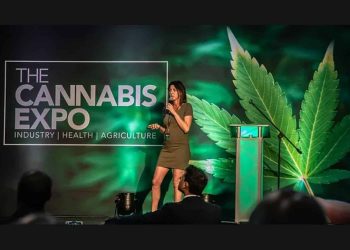 The 2021 Cannabis Expo kicks off today in Johannesburg