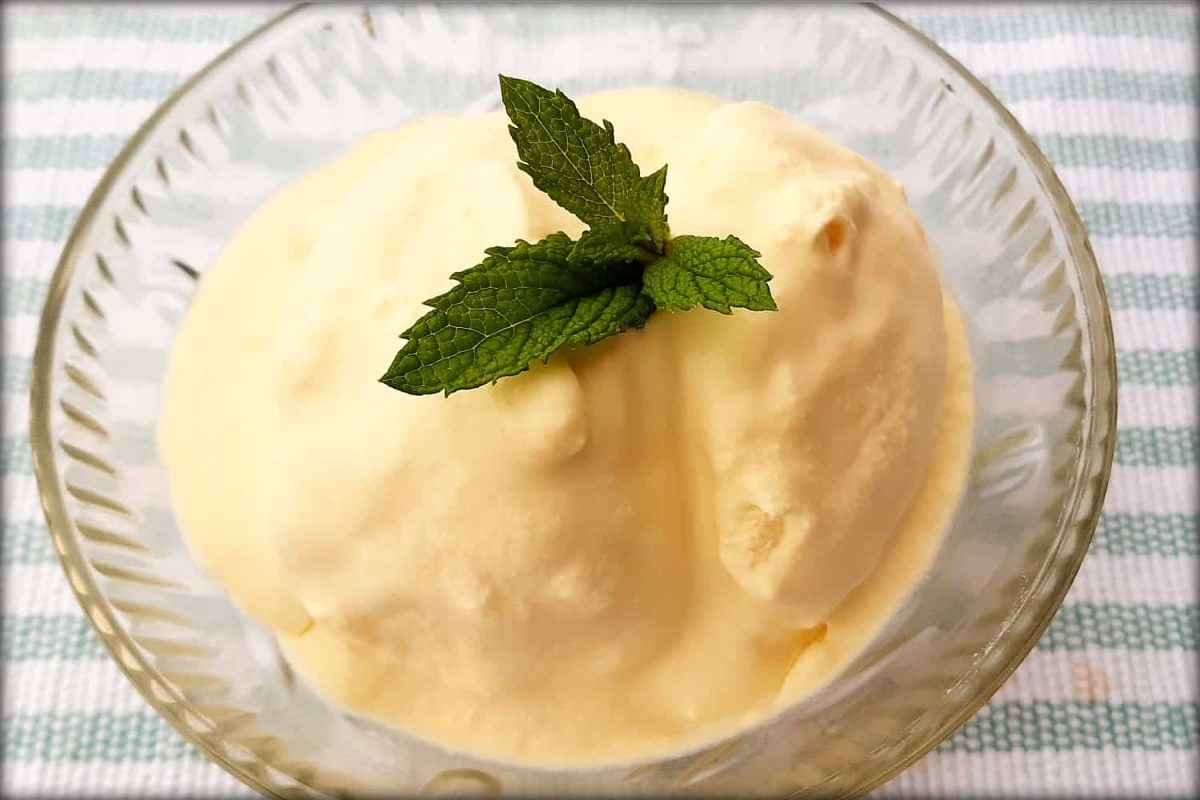 Homemade SugarFree Vanilla Icecream