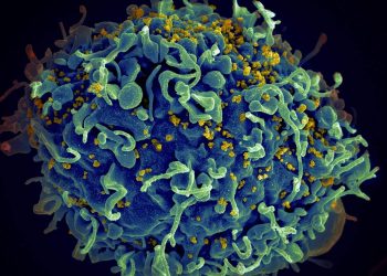 Moderna has begun testing the HIV vaccine using mRNA technology