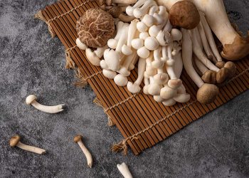 The Nutritional Value of Mushrooms