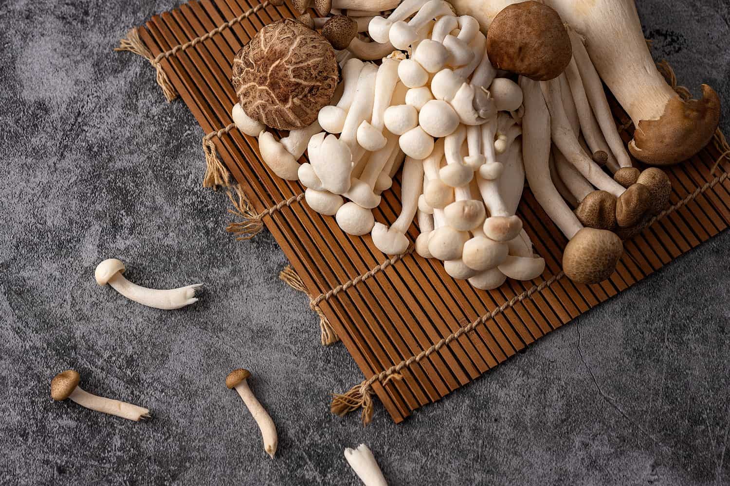 The nutritional value of mushrooms