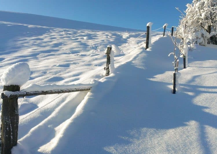 SA weather service warns of more snowfall expected in the Western Cape