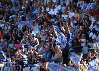 DHL Stormers to feature in Stellenbosch and Gqeberha in 2022/23 URC