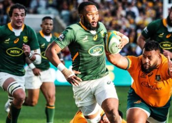 Lukhanyo Am says Boks are desperate to come back against Australia