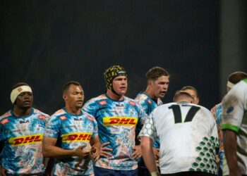 DHL Stormers to play Cell Sharks in a friendly - Photo: DHL Stormers website