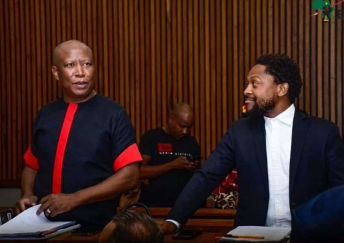 Another Victory As Malema And Ndlozi Found Not Guilty Of Assault