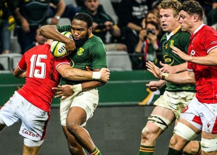 Springboks in action with Wales