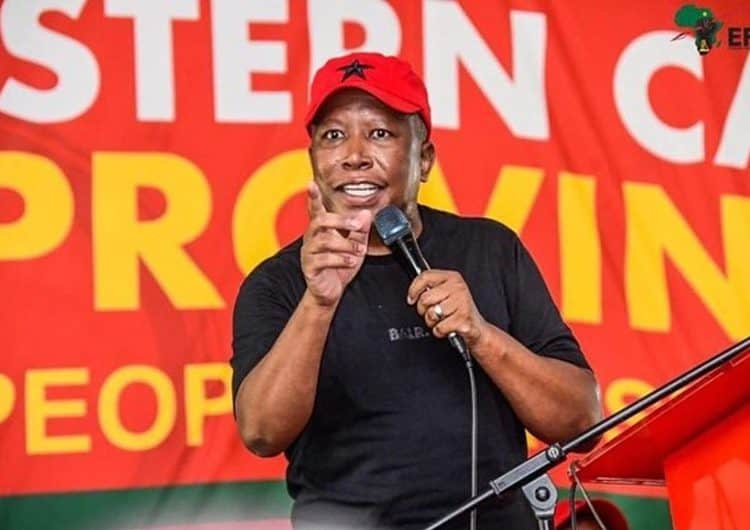 Malema Slams Members For Failure To Elect Women Into Leadership