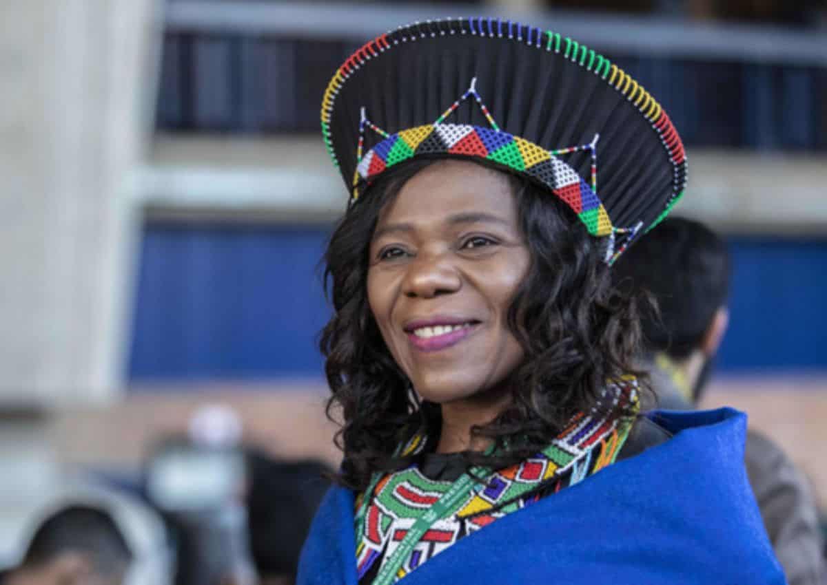 Speaker Approves Request To Summon Madonsela To Testify • The Pink Brain